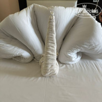 фото из отзыва ID 2608856