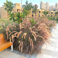 фото из отзыва ID 2608901