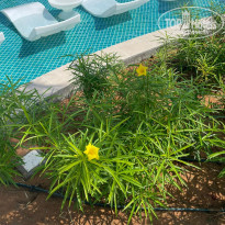 фото из отзыва ID 2608901