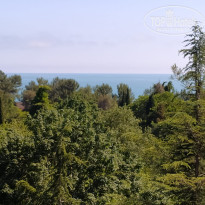 фото из отзыва ID 2609070