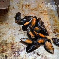 фото из отзыва ID 2609088