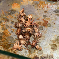 фото из отзыва ID 2609088