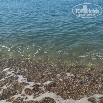 фото из отзыва ID 2609136