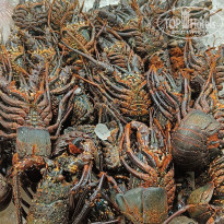 фото из отзыва ID 2609169