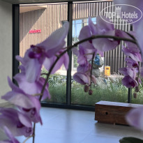 фото из отзыва ID 2609186