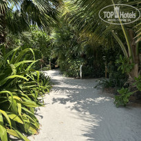 фото из отзыва ID 2609186