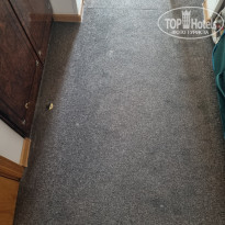 фото из отзыва ID 2609190