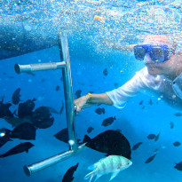 фото из отзыва ID 2609169