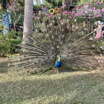 фото из отзыва ID 2609278