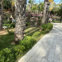 фото из отзыва ID 2609278