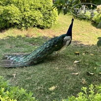 фото из отзыва ID 2609278