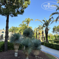 фото из отзыва ID 2609278