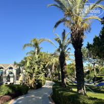 фото из отзыва ID 2609278