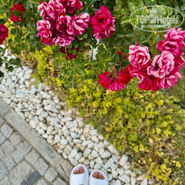 фото из отзыва ID 2609345