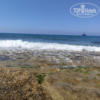 фото из отзыва ID 2609370