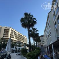 фото из отзыва ID 2609373