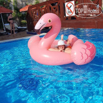 фото из отзыва ID 2609386