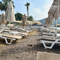 фото из отзыва ID 2609423