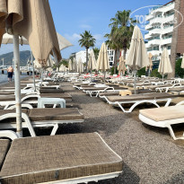 фото из отзыва ID 2609423