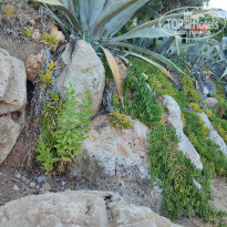 фото из отзыва ID 2609462