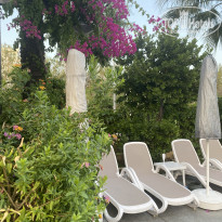 фото из отзыва ID 2609606