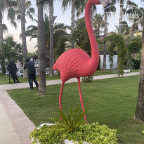 фото из отзыва ID 2609606