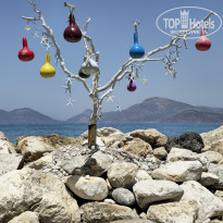 фото из отзыва ID 2609698