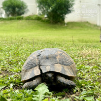 фото из отзыва ID 2609775