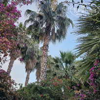 фото из отзыва ID 2609733