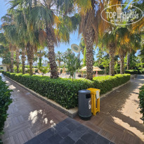 фото из отзыва ID 2609733