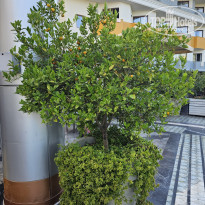 фото из отзыва ID 2609733