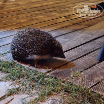 фото из отзыва ID 2609733