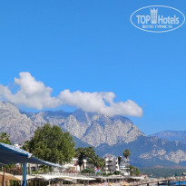 фото из отзыва ID 2609866