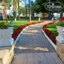 фото из отзыва ID 2609866