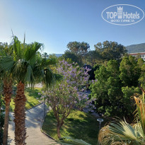 фото из отзыва ID 2609866