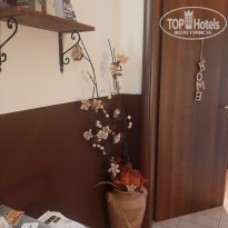 фото из отзыва ID 2609925