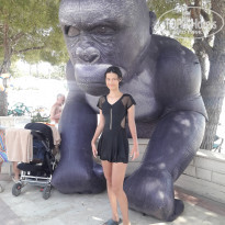 фото из отзыва ID 2609965