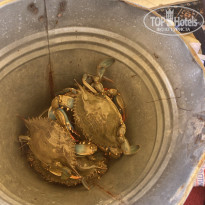 фото из отзыва ID 2609752