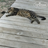 фото из отзыва ID 2609820