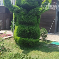 фото из отзыва ID 2609820