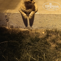 фото из отзыва ID 2609820