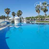 фото из отзыва ID 2608616