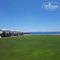 фото из отзыва ID 2608616