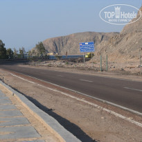 фото из отзыва ID 261385