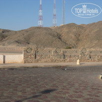 фото из отзыва ID 261385