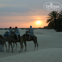 фото из отзыва ID 261846