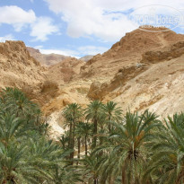 фото из отзыва ID 261846