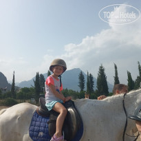 фото из отзыва ID 2610063