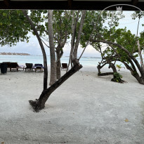 фото из отзыва ID 2610095