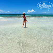 фото из отзыва ID 2610221